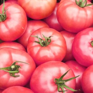 Pomidor malinowy BIO (1 kg)
